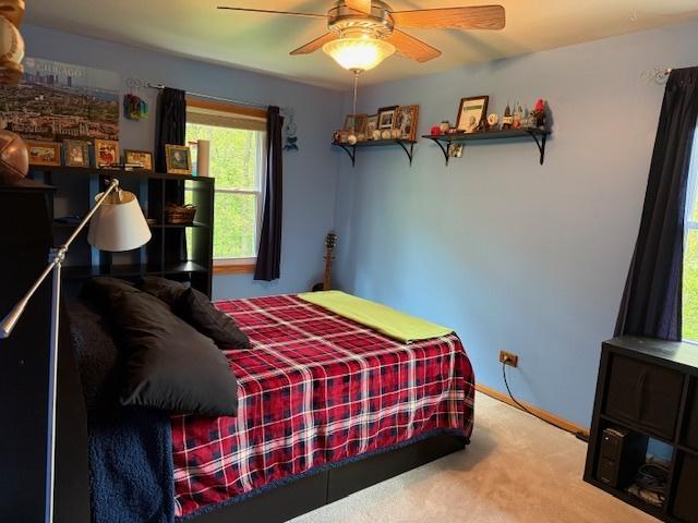 1201 E St, Crete, IL 60417 - bedroom featuring carpet flooring, a ceiling fan, and baseboards