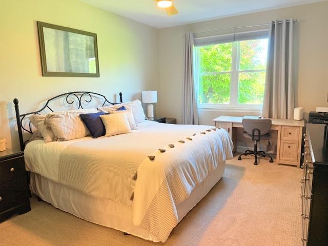 21528 W Douglas Court -, Plainfield, IL 60544 - bedroom featuring light carpet