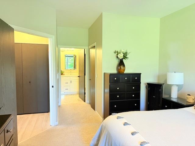 21528 W Douglas Court -, Plainfield, IL 60544 - view of carpeted bedroom