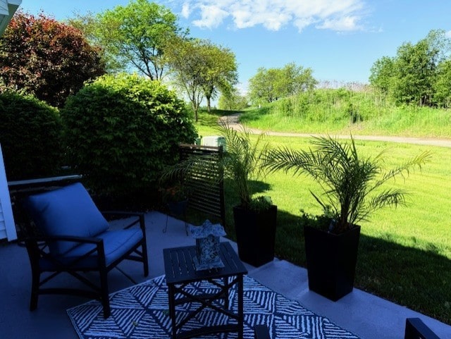 21528 W Douglas Court -, Plainfield, IL 60544 - view of patio