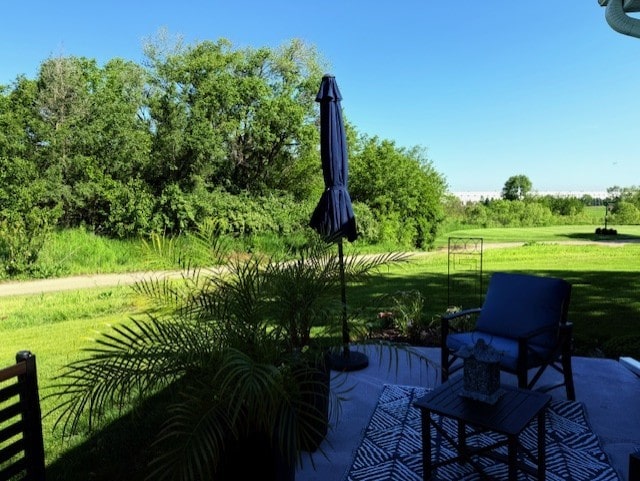 21528 W Douglas Court -, Plainfield, IL 60544 - view of patio / terrace