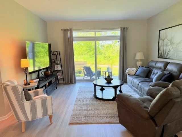 21528 W Douglas Court -, Plainfield, IL 60544 - living area with light wood finished floors