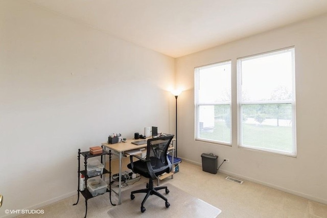 6 Marigold Ln, Algonquin, IL 60102 - carpeted home office featuring baseboards