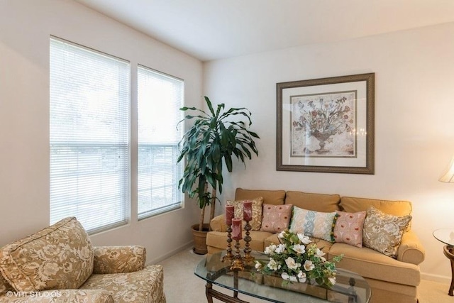 6 Marigold Ln, Algonquin, IL 60102 - living area with carpet floors and baseboards