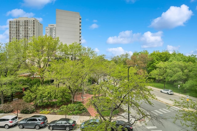 1850 N Clark St Unit 402, Chicago, IL 60614 - exterior space