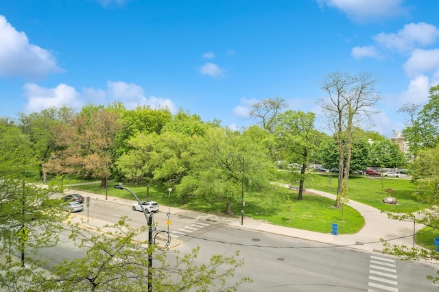 1850 N Clark St Unit 402, Chicago, IL 60614 - surrounding community with a yard and view of scattered trees