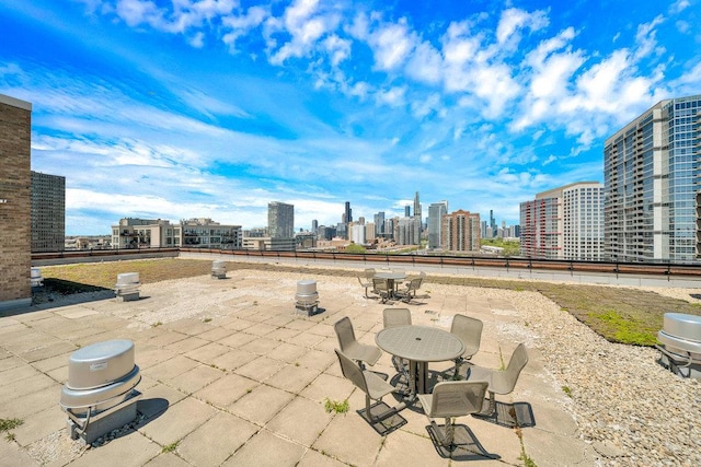 320 E 21st St Unit 412, Chicago, IL 60616 - view of patio / terrace with a skyline view