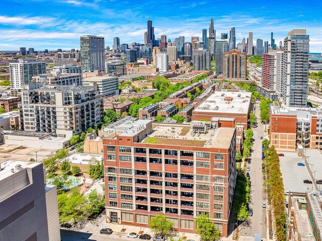 320 E 21st St Unit 412, Chicago, IL 60616 - skyline view