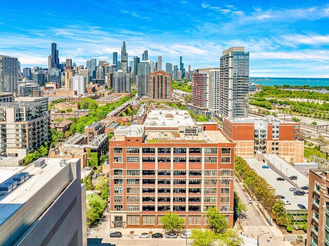 320 E 21st St Unit 412, Chicago, IL 60616 - view of city skyline