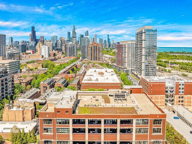 320 E 21st St Unit 412, Chicago, IL 60616 - skyline view