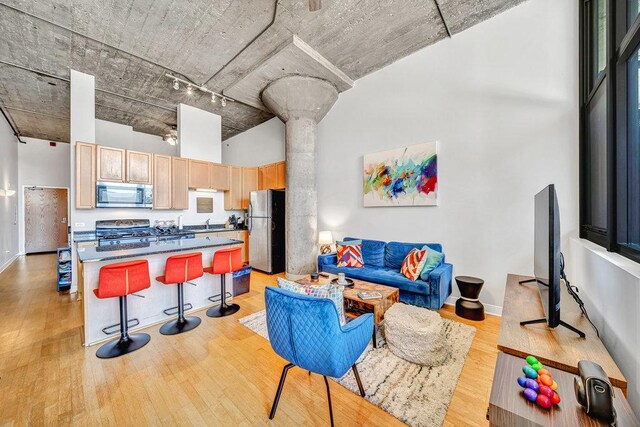 320 E 21st St Unit 412, Chicago, IL 60616 - living area with a towering ceiling, light wood-style floors, baseboards, and rail lighting