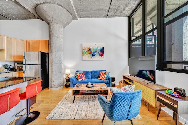 320 E 21st St Unit 412, Chicago, IL 60616 - living area with light wood finished floors