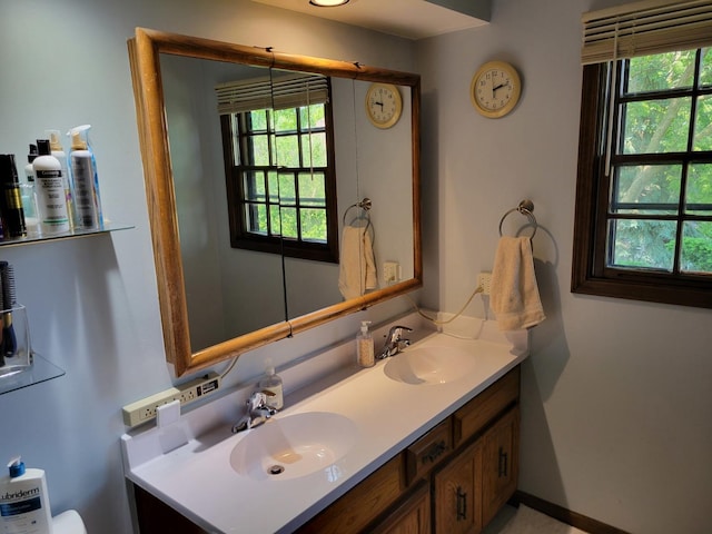 1263 Bainbridge Dr, Naperville, IL 60563 - bathroom with double vanity