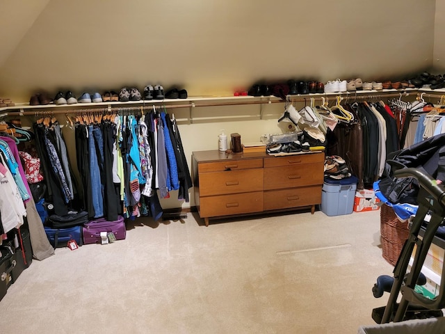 1263 Bainbridge Dr, Naperville, IL 60563 - spacious closet featuring light colored carpet
