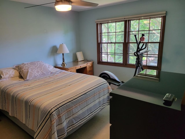 1263 Bainbridge Dr, Naperville, IL 60563 - bedroom with carpet and ceiling fan