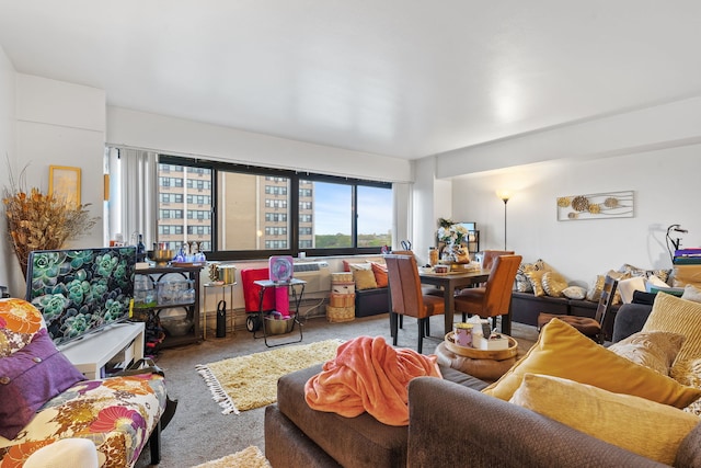 7337 S S Shore Dr Unit 712, Chicago, IL 60649 - living room with carpet