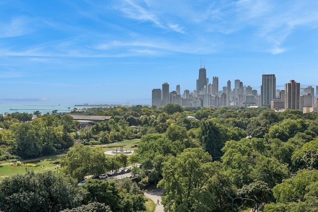 2314 N Lincoln Park W Unit 11S, Chicago, IL 60614 - view of city skyline