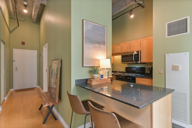 20 N State St Unit 805, Chicago, IL 60602 - kitchen with a high ceiling, black gas range, rail lighting, stainless steel microwave, and light brown cabinetry