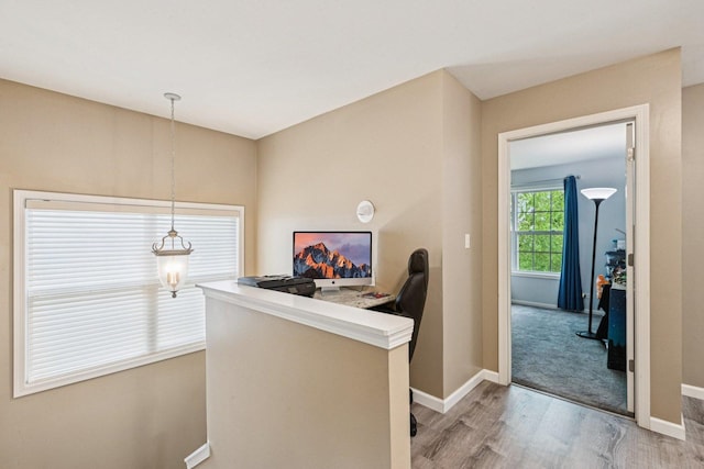 1885 W Greenleaf Ct, Round Lake, IL 60073 - hall with light wood-style floors and baseboards
