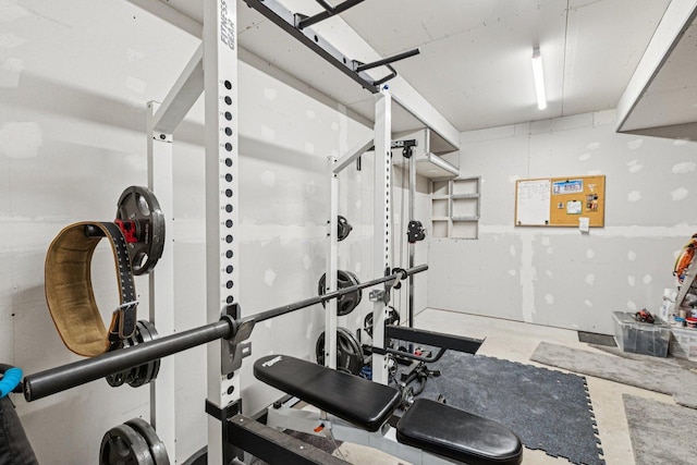 1885 W Greenleaf Ct, Round Lake, IL 60073 - view of workout area