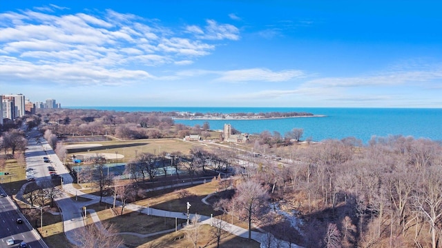 3530 N Lake Shore Dr Unit 12B, Chicago, IL 60657 - aerial overview of property's location with a nearby body of water