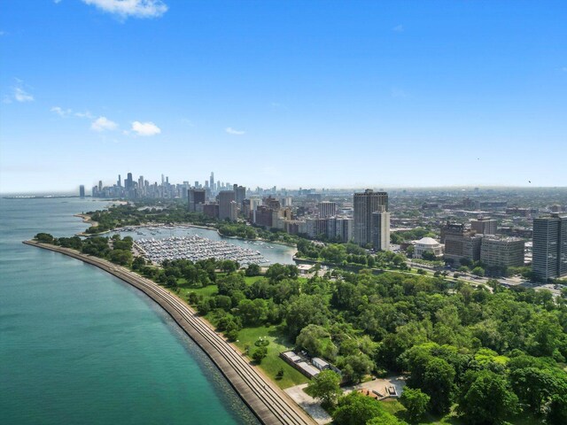 3530 N Lake Shore Dr Unit 12B, Chicago, IL 60657 - bird's eye view of city skyline and a nearby body of water