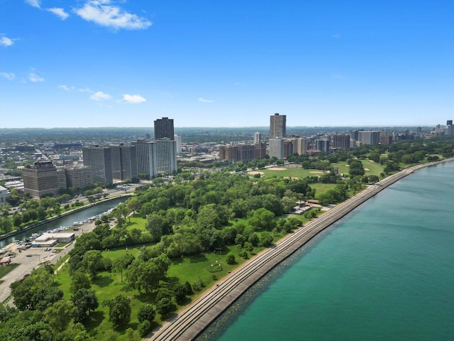 3530 N Lake Shore Dr Unit 12B, Chicago, IL 60657 - view of urban area featuring a nearby body of water