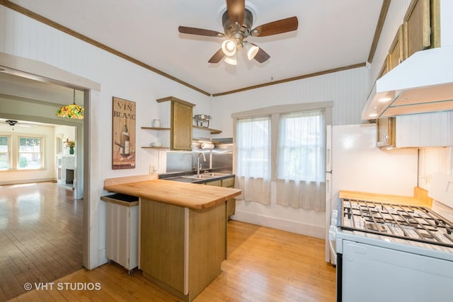 3726 Kenilworth Ave, Berwyn, IL 60402 - kitchen featuring a ceiling fan, crown molding, open shelves, under cabinet range hood, and light wood-style flooring