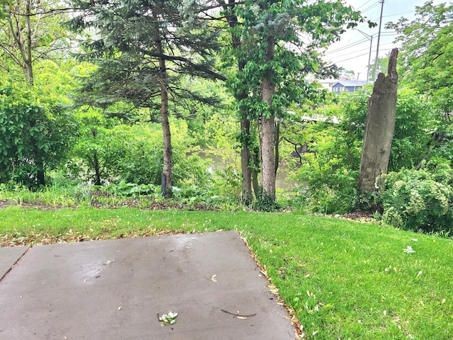 15285 State St, South Holland, IL 60473 - view of grassy yard