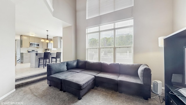 412 Joshua Tree, Harvard, IL 60033 - living area featuring a towering ceiling and light carpet