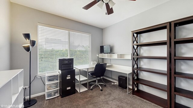 412 Joshua Tree, Harvard, IL 60033 - office with a ceiling fan, dark colored carpet, and baseboards
