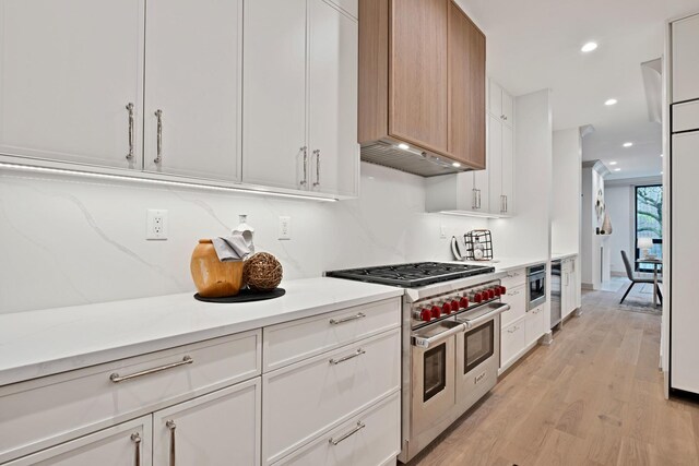 1646 N Orchard St Unit 1N, Chicago, IL 60614 - kitchen featuring double oven range, under cabinet range hood, light wood-type flooring, light countertops, and white cabinetry