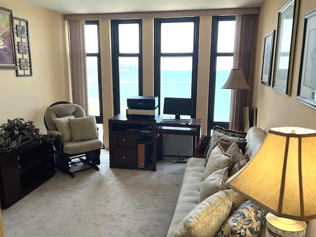 6700 S S Shore Dr Unit 17A, Chicago, IL 60649 - view of carpeted living room