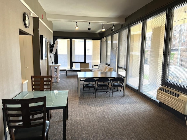 6700 S S Shore Dr Unit 17A, Chicago, IL 60649 - sunroom with carpet floors, healthy amount of natural light, and rail lighting