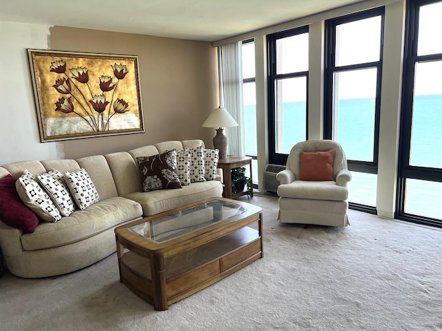 6700 S S Shore Dr Unit 17A, Chicago, IL 60649 - view of carpeted living room
