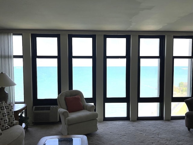 6700 S S Shore Dr Unit 17A, Chicago, IL 60649 - carpeted living area with a wall mounted AC