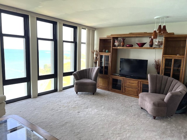 6700 S S Shore Dr Unit 17A, Chicago, IL 60649 - carpeted living area featuring healthy amount of natural light