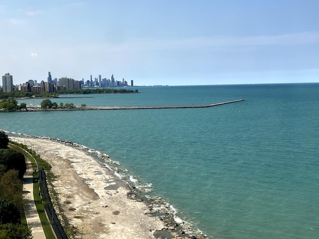 6700 S S Shore Dr Unit 17A, Chicago, IL 60649 - water view with skyline