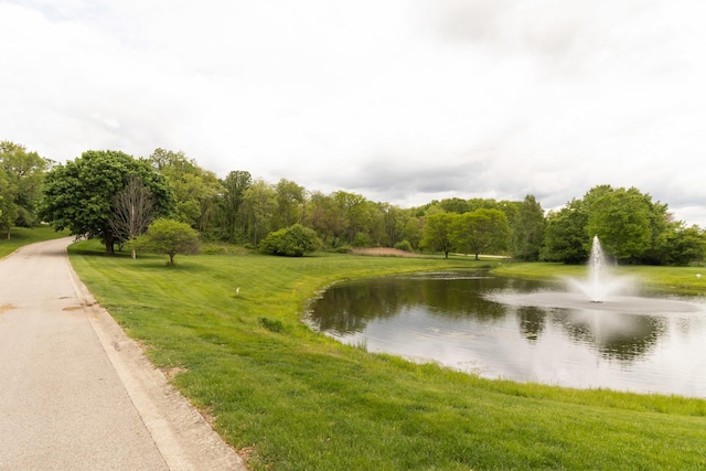 1100 Juliano Ct, Barrington Hills, IL 60010