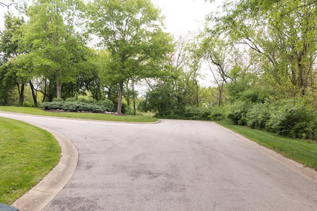 1100 Juliano Ct, Barrington Hills, IL 60010