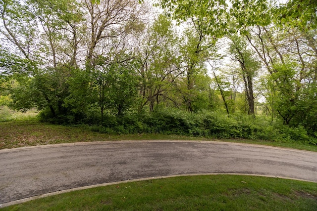 1100 Juliano Ct, Barrington Hills, IL 60010