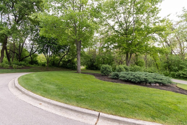 1100 Juliano Ct, Barrington Hills, IL 60010