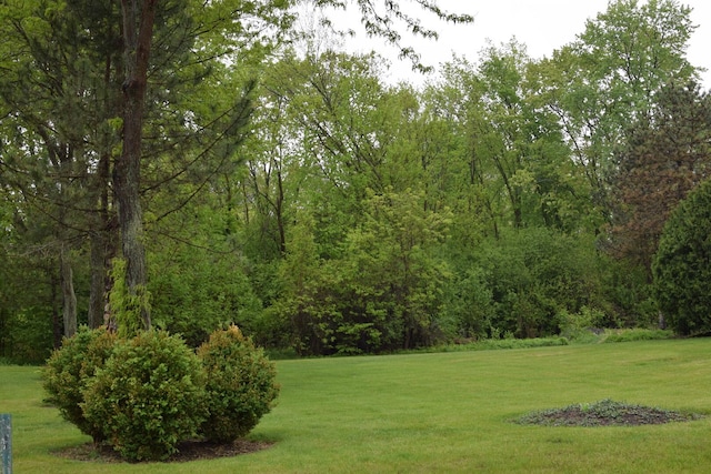 1012 Elsie Ave, Gurnee, IL 60031 - view of grassy yard featuring a wooded view