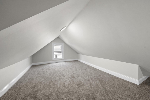 1326 N Poplar Ave, Round Lake Beach, IL 60073 - additional living space featuring carpet flooring and lofted ceiling