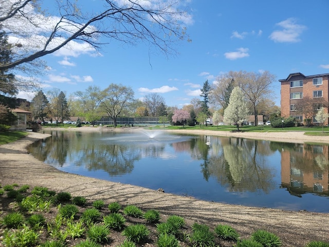 1106 S New Wilke Rd Unit 401, Arlington Heights, IL 60005 - water view