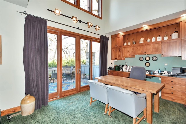 4776A W State Route 102, Bourbonnais, IL 60914 - office area with light colored carpet, french doors, and a towering ceiling