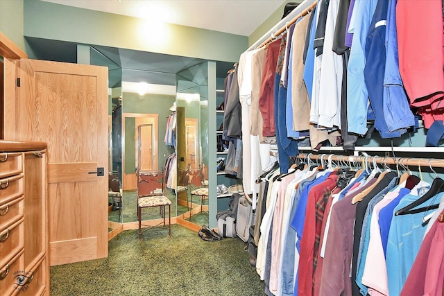 4776A W State Route 102, Bourbonnais, IL 60914 - view of spacious closet