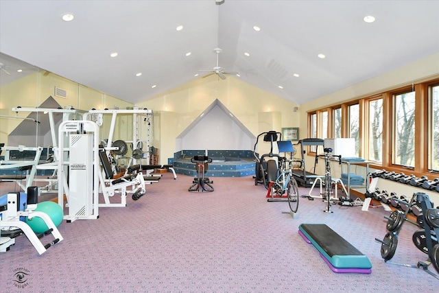 4776A W State Route 102, Bourbonnais, IL 60914 - workout area with ceiling fan, recessed lighting, and high vaulted ceiling
