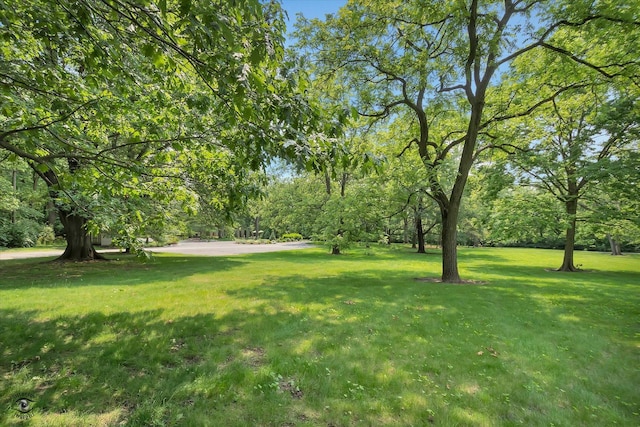 4776A W State Route 102, Bourbonnais, IL 60914 - view of green lawn