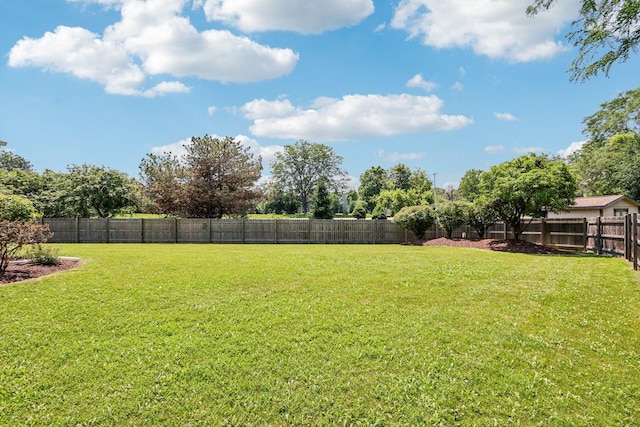 63 E Cambridge Ct, Grayslake, IL 60030 - view of fenced backyard